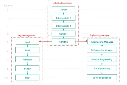 Career path overview alt_text